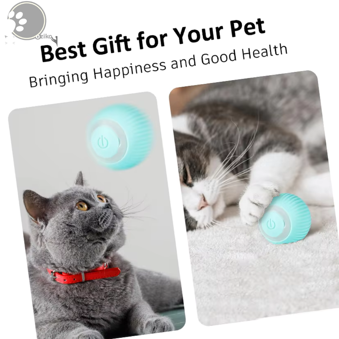 Interactive Cat Ball